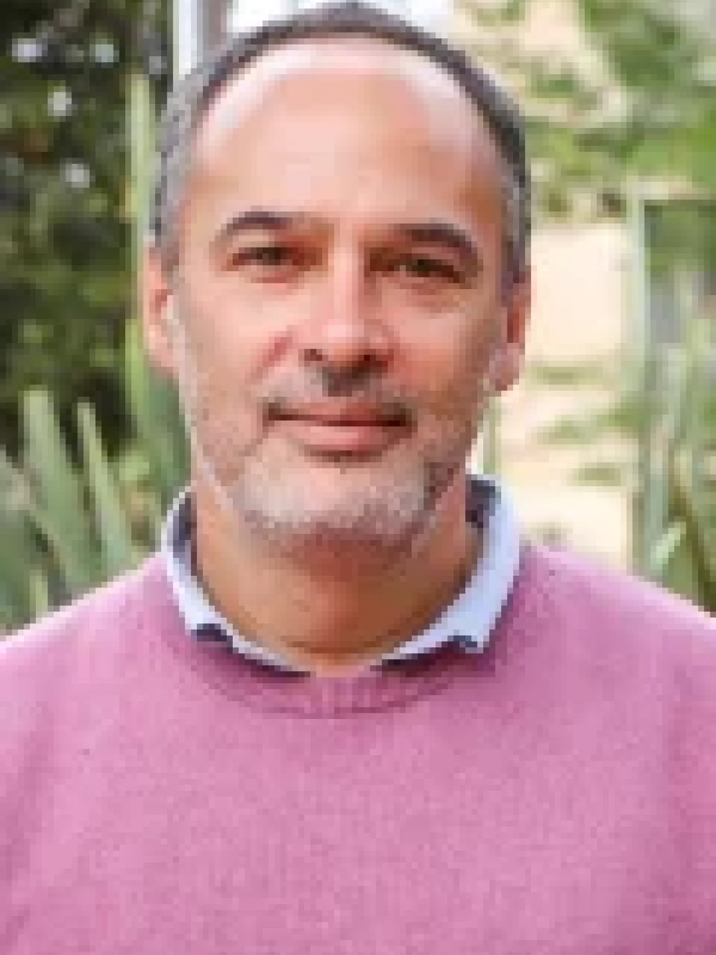 Andrés Link