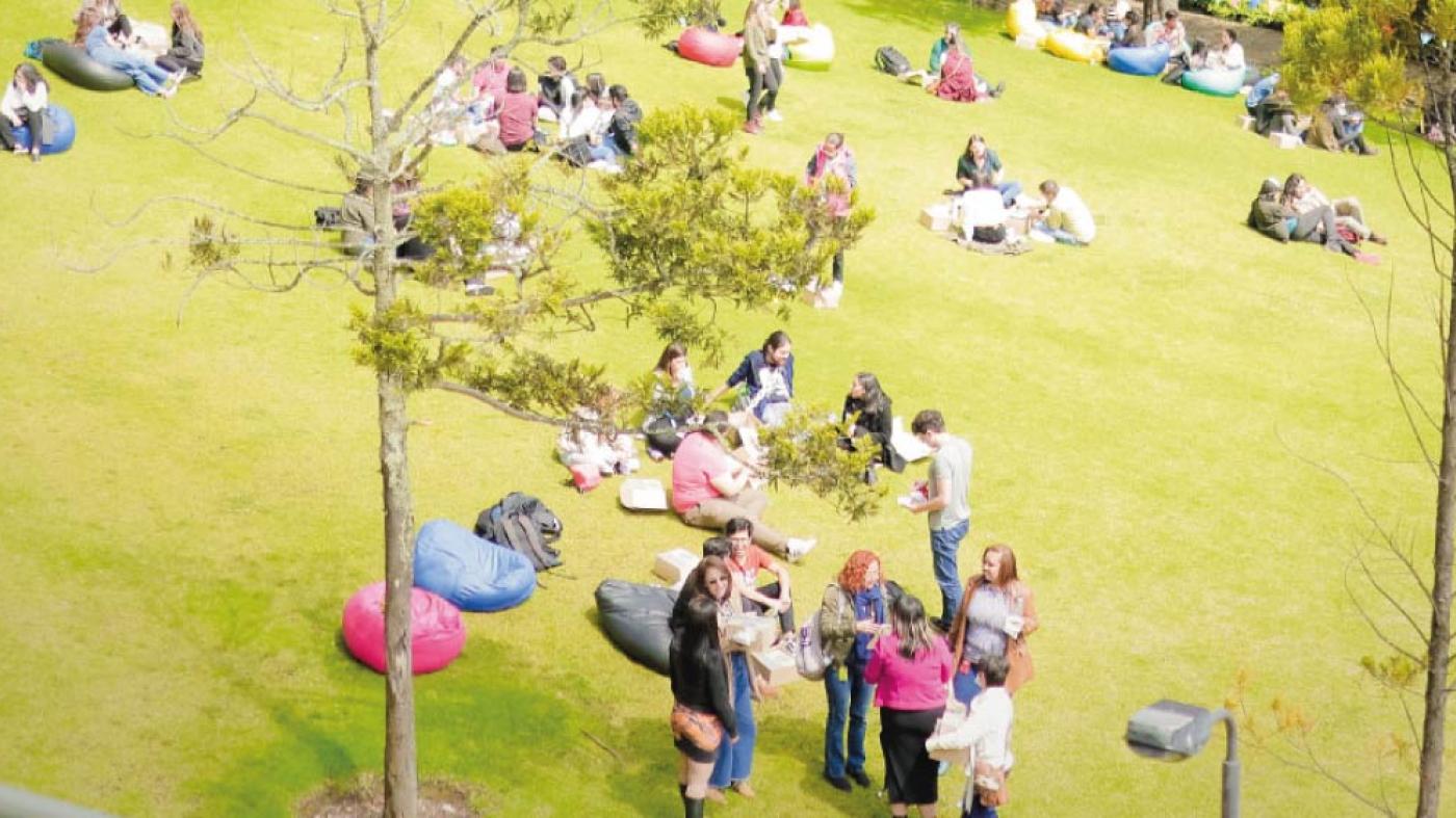 Tarde soleada en el prado de El Bobo en Uniandes