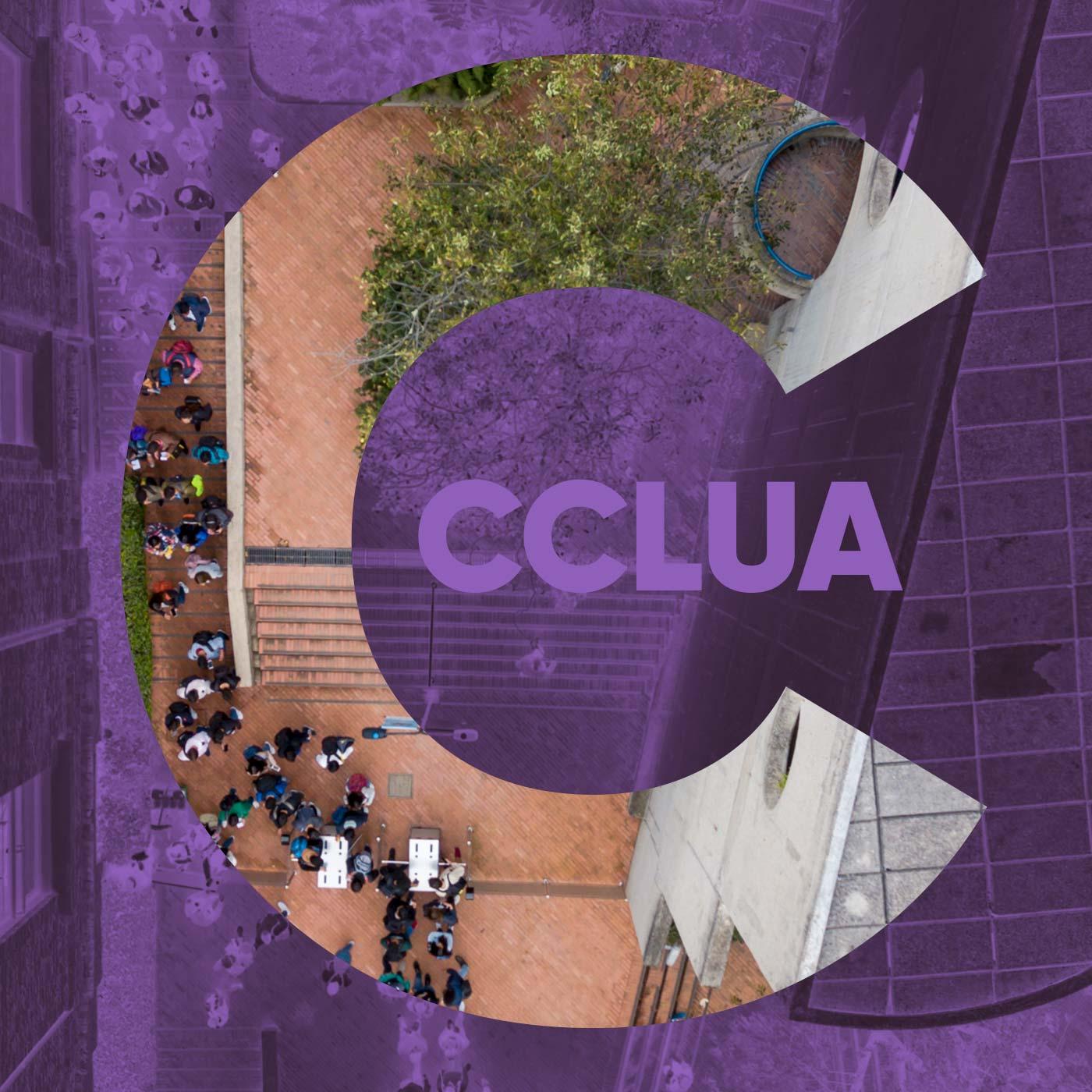 Comité de Convivencia