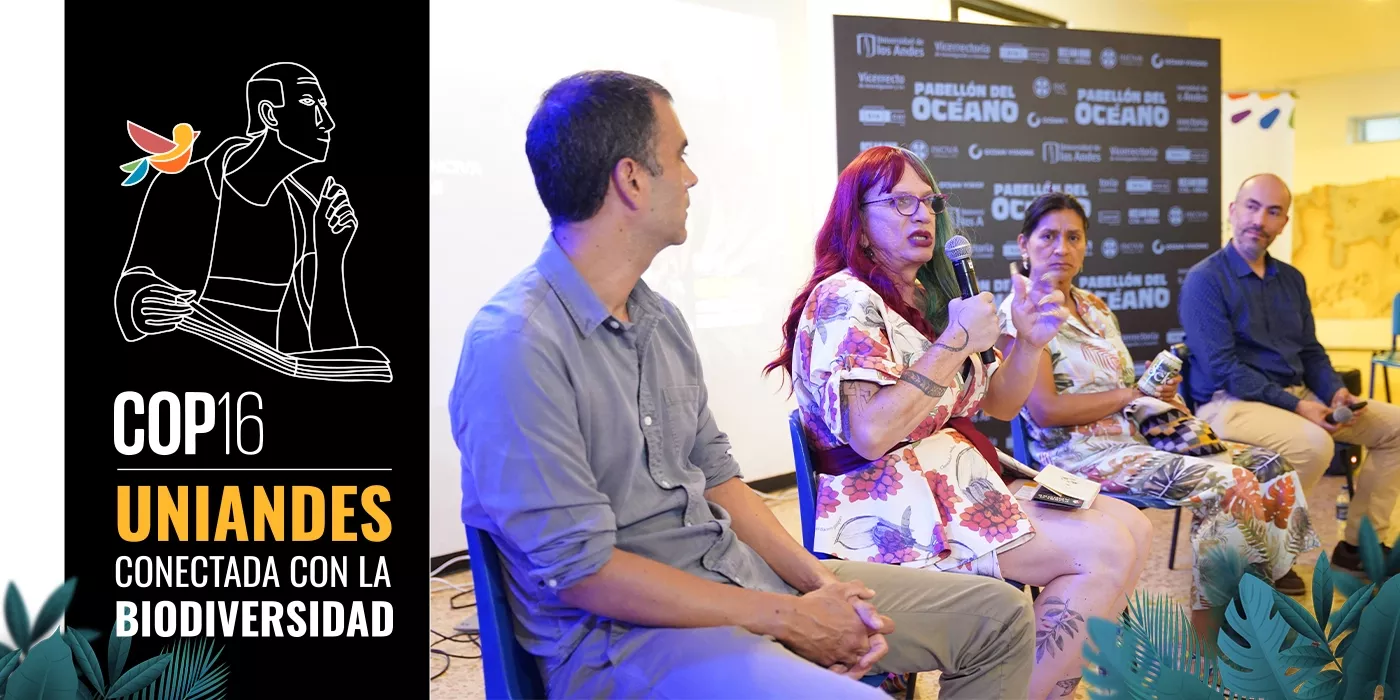 Texto alternativo imagen