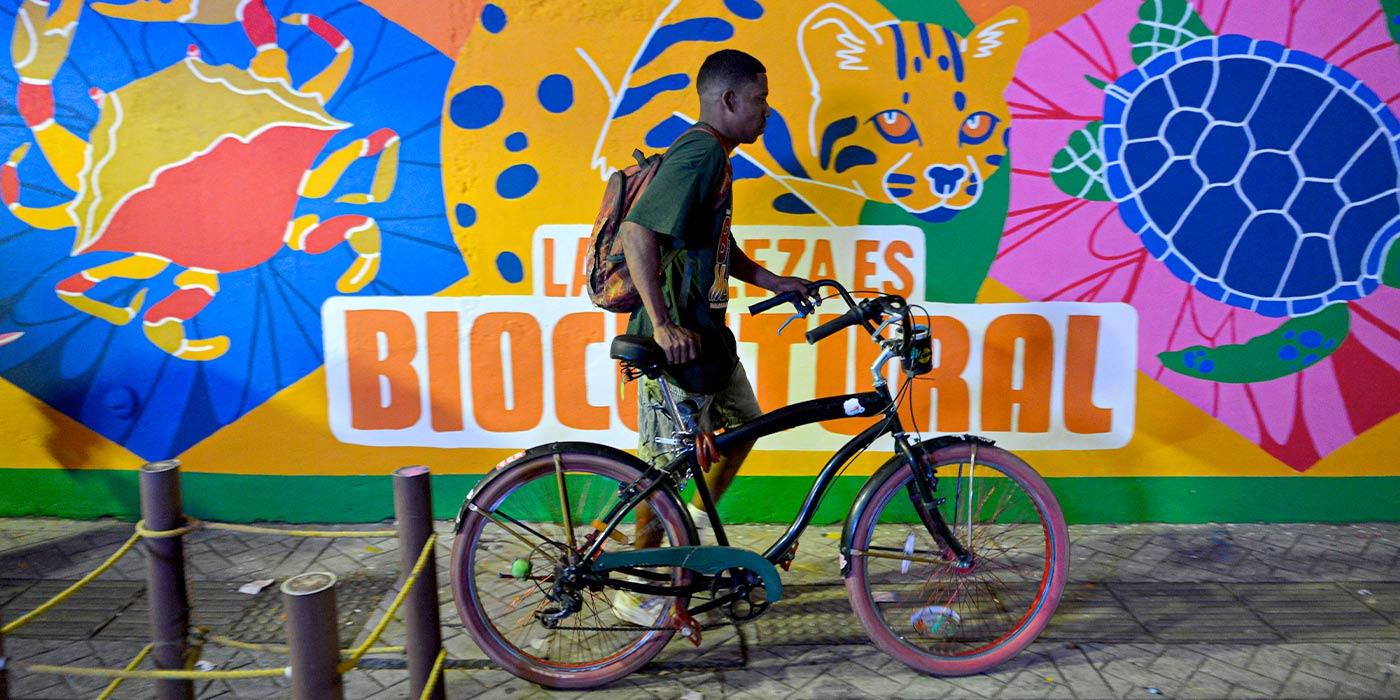 Texto alternativo imagen