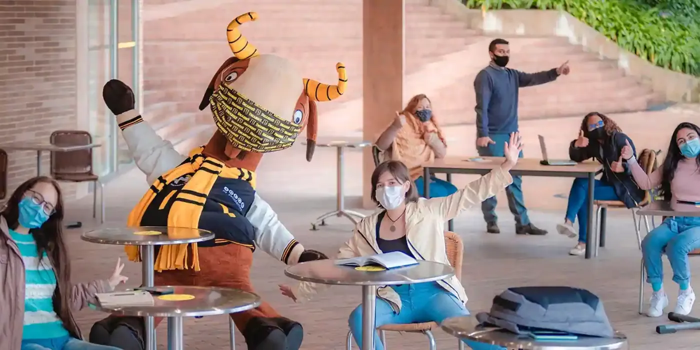 Texto alternativo imagen