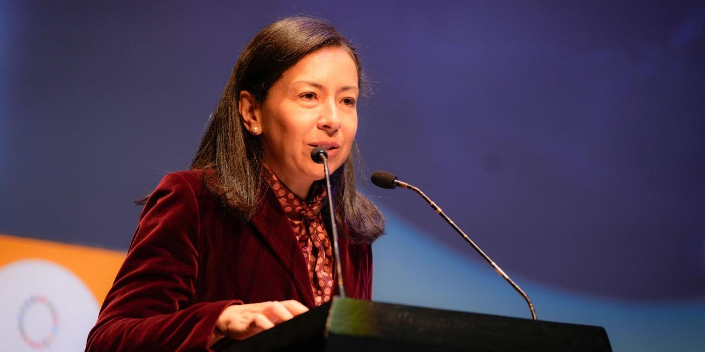 Cooperación, el fruto de la unión entre paz y democracia