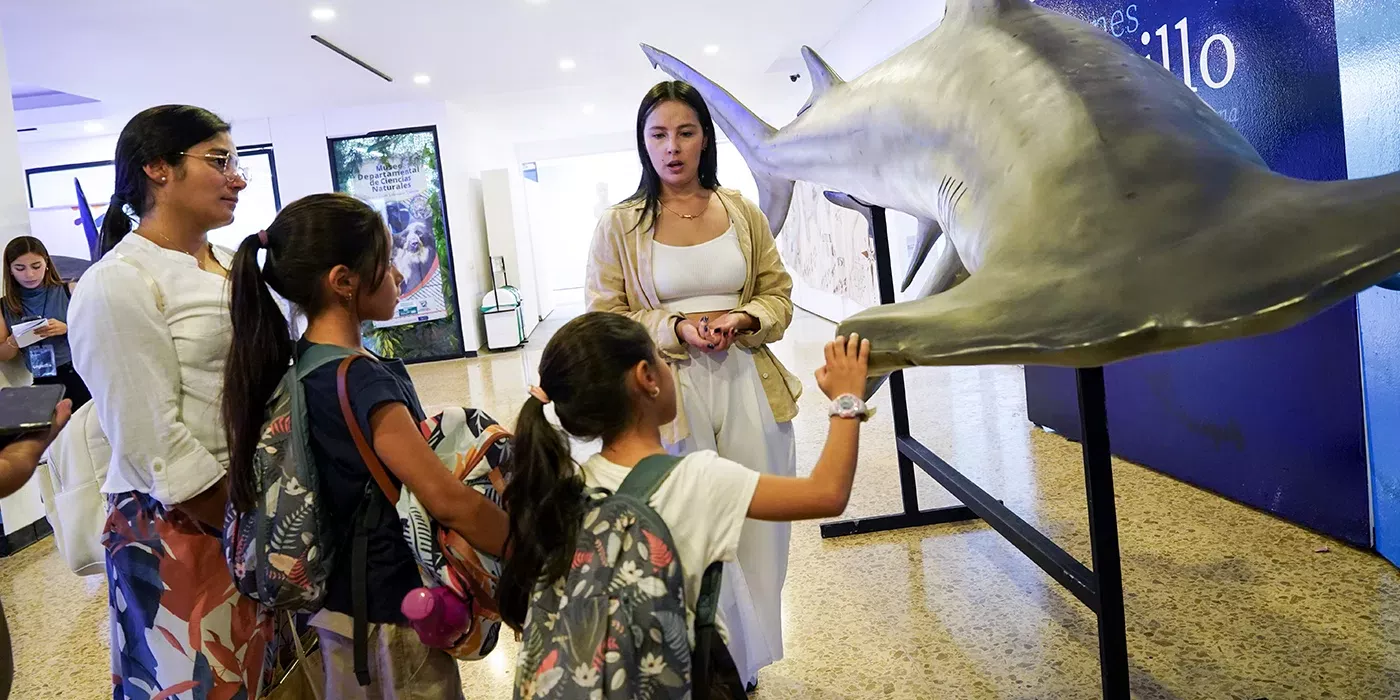 Texto alternativo imagen