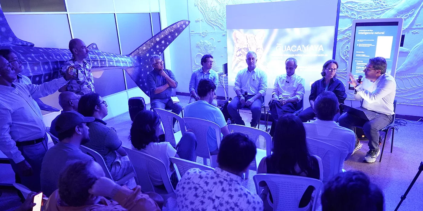 Guacamaya en la COP-16
