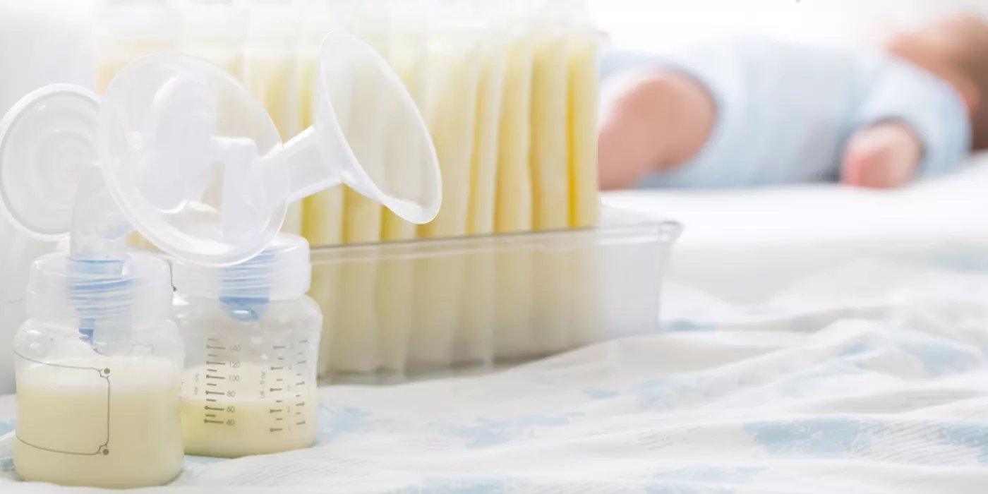 Texto alternativo imagen