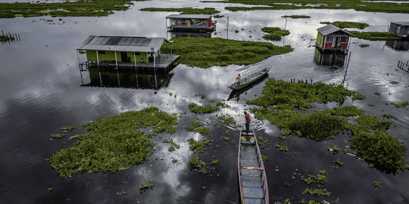 Hydrilla