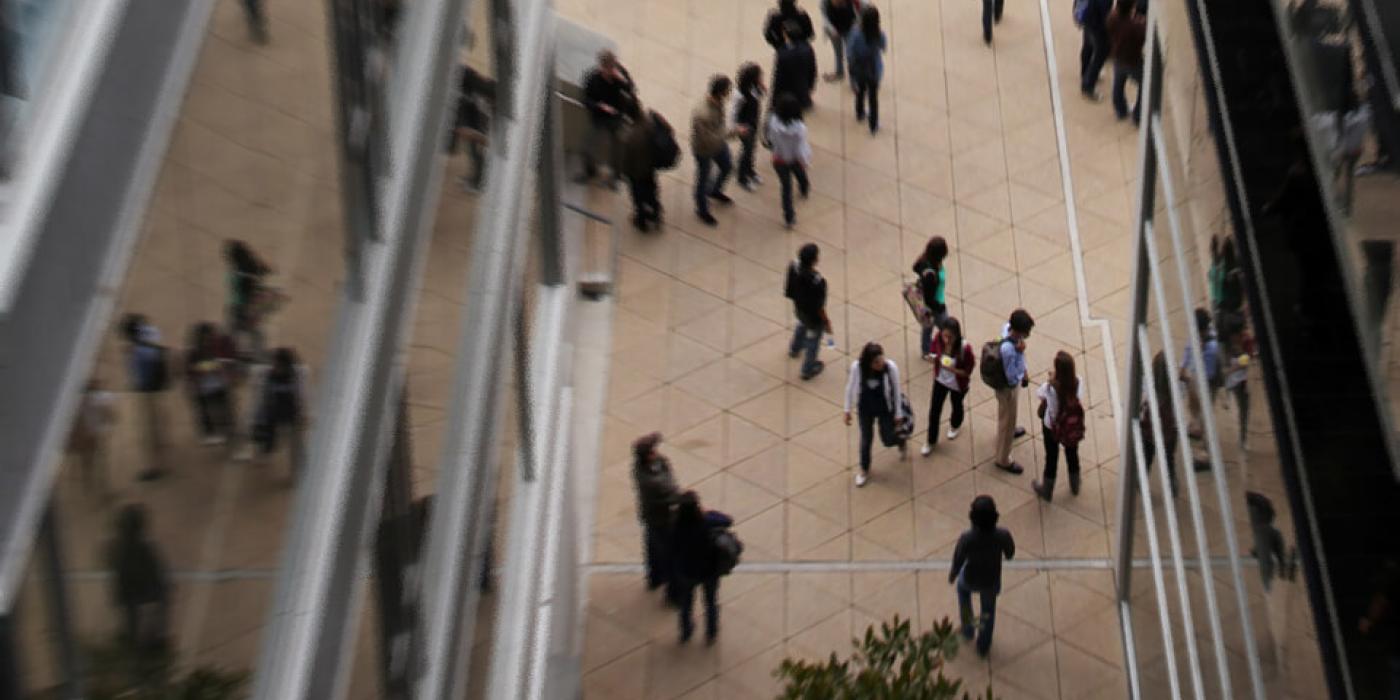 Texto alternativo imagen