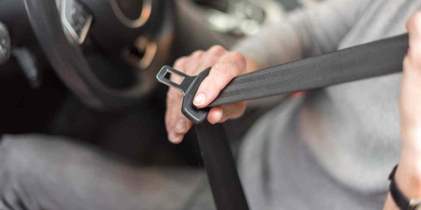 Texto alternativo imagen