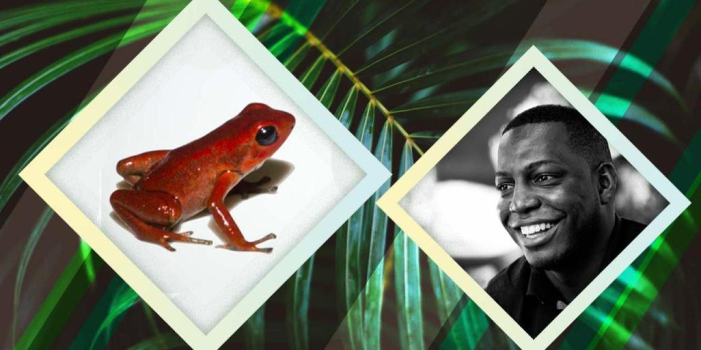 Texto alternativo imagen