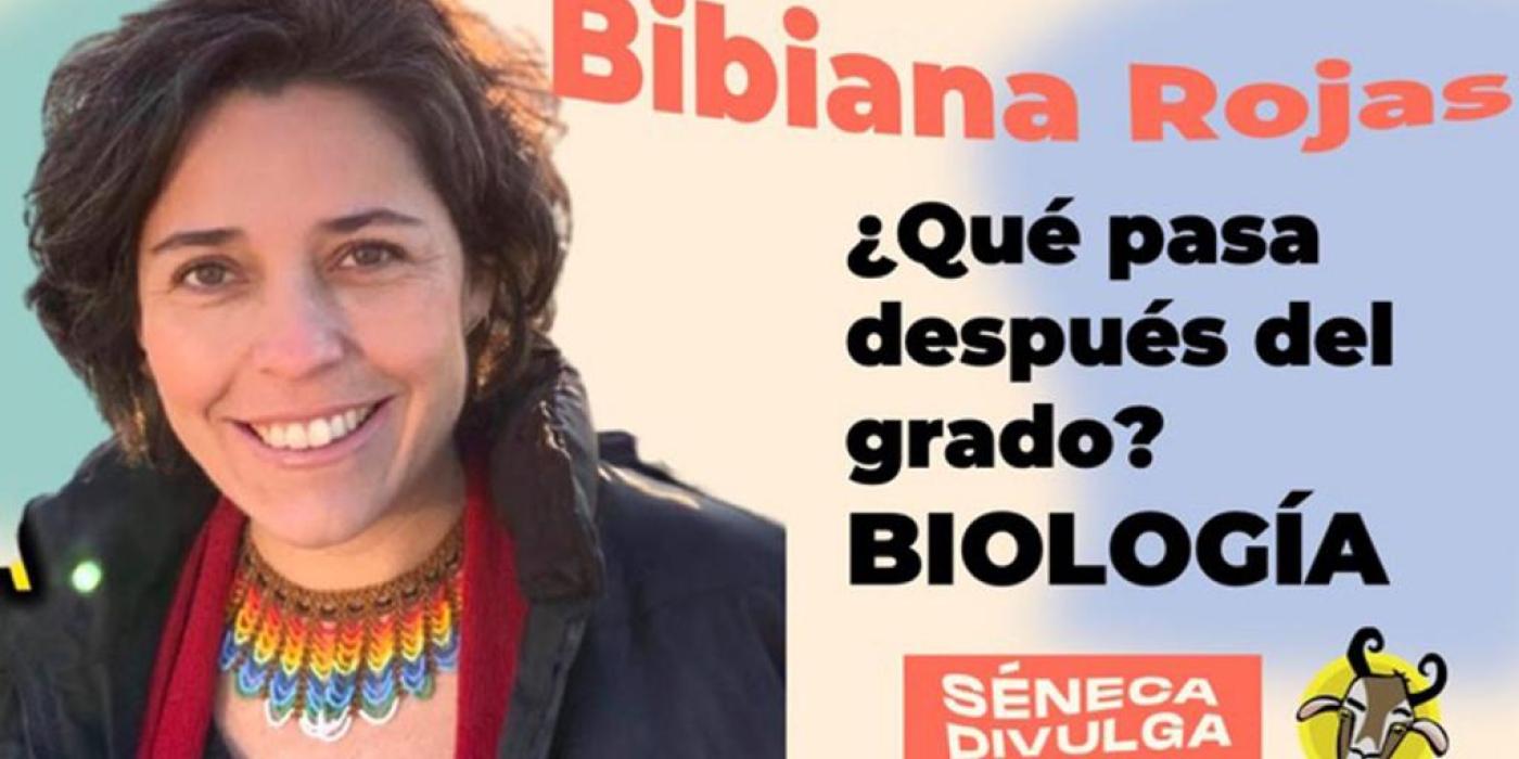 Texto alternativo imagen