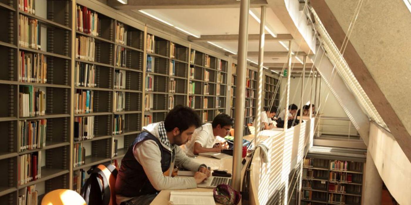 Texto alternativo imagen