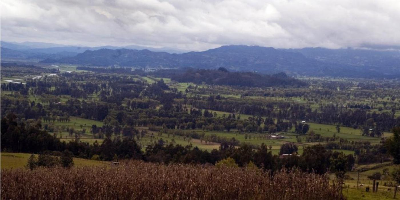 Texto alternativo imagen