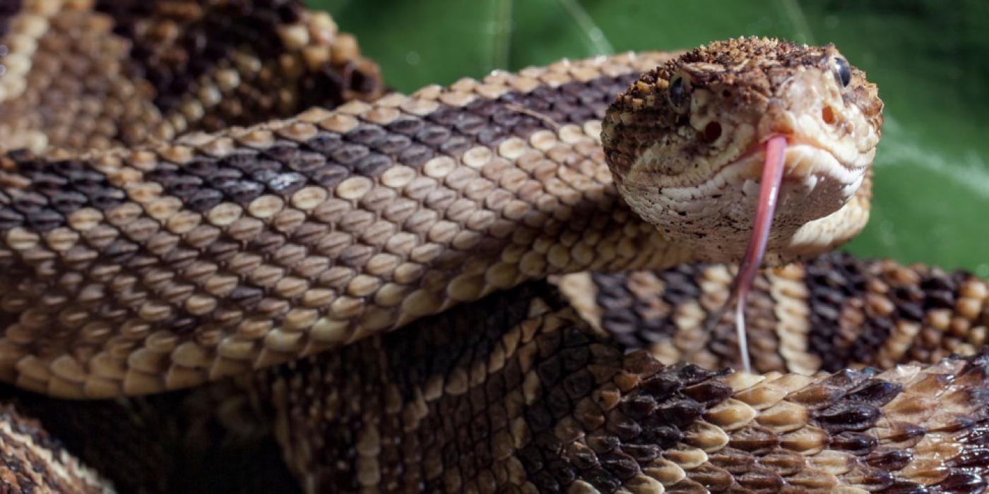 Texto alternativo imagen