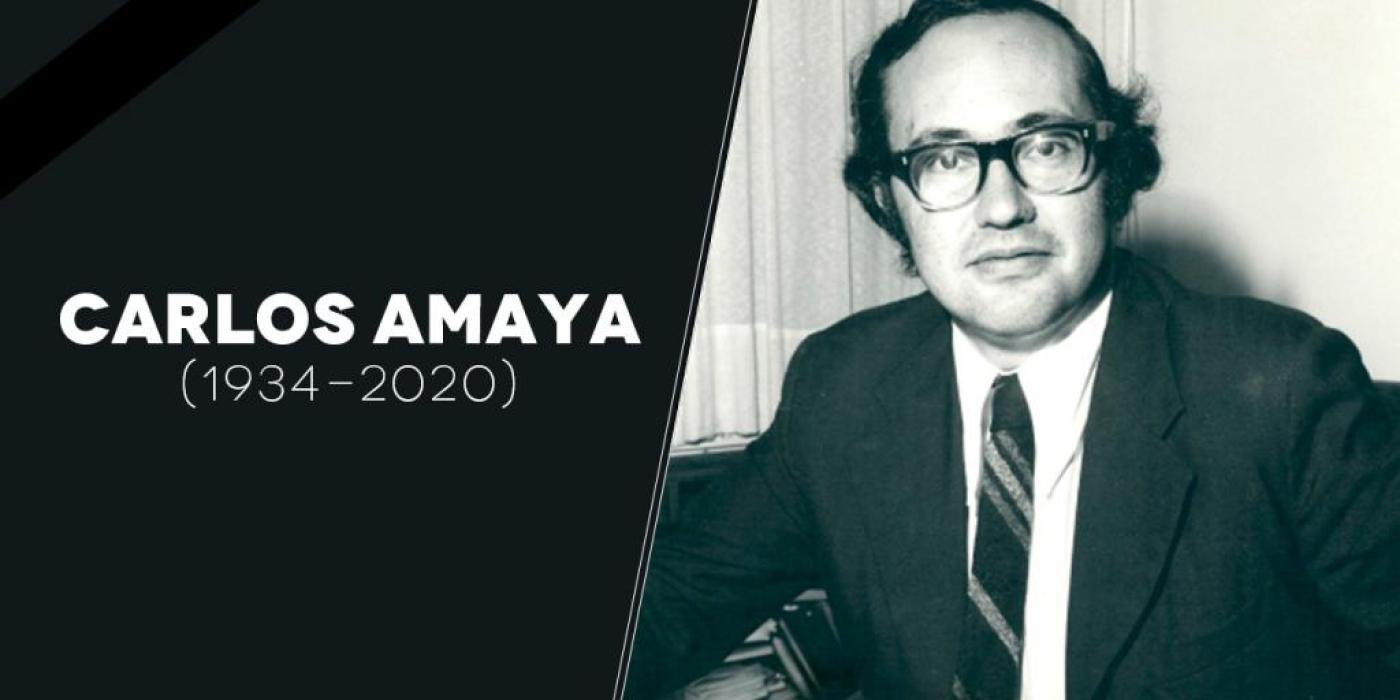 Texto alternativo imagen