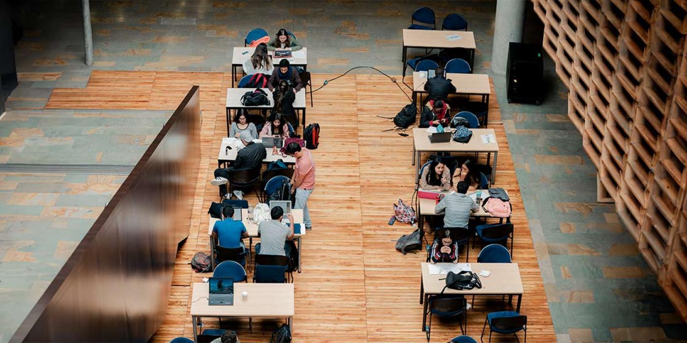 Texto alternativo imagen