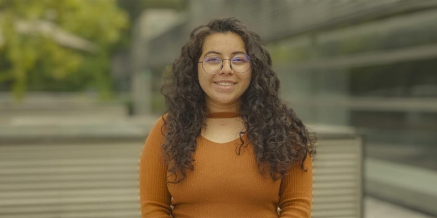 Texto alternativo imagen