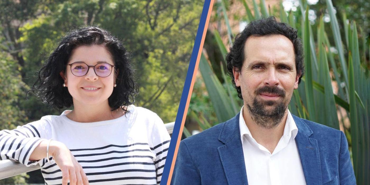 Texto alternativo imagen