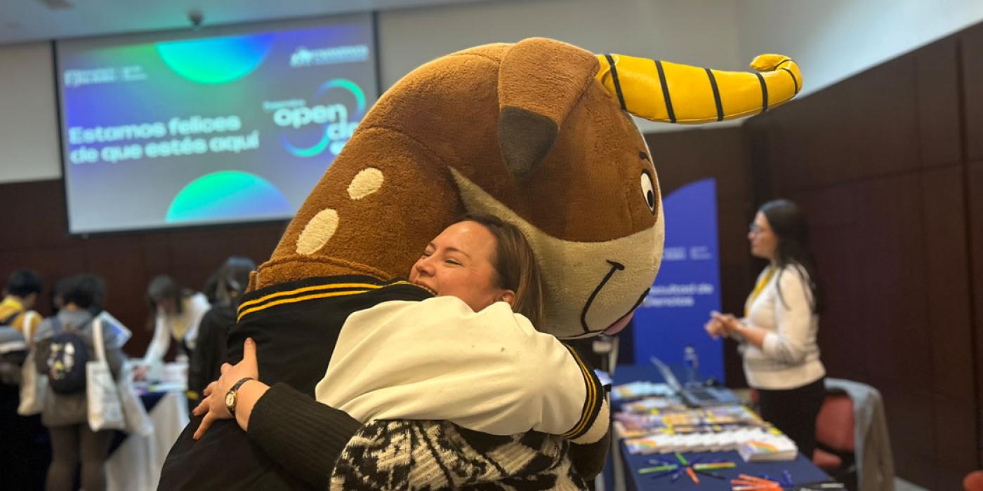 Texto alternativo imagen