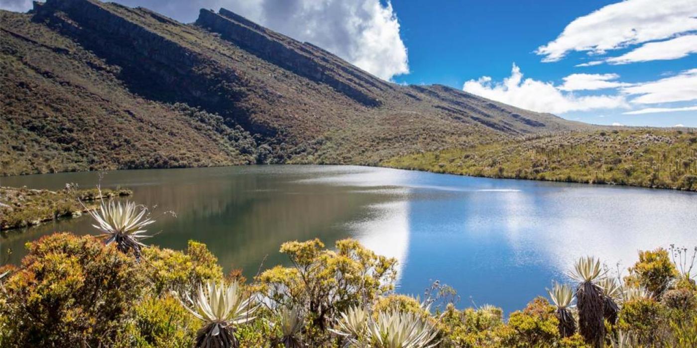 Texto alternativo imagen