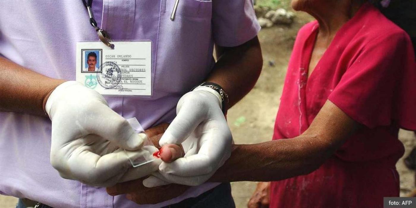 Texto alternativo imagen