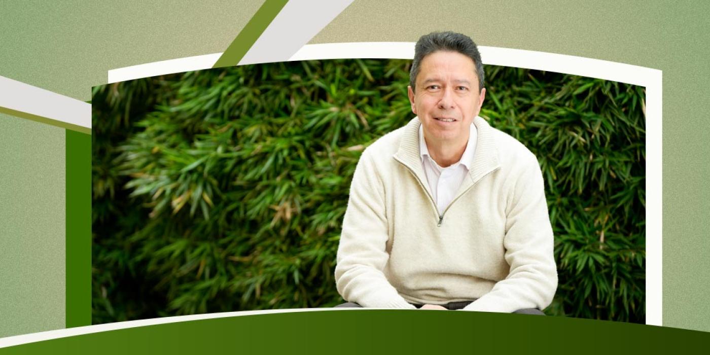 Texto alternativo imagen