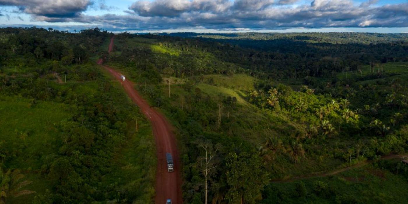 Texto alternativo imagen