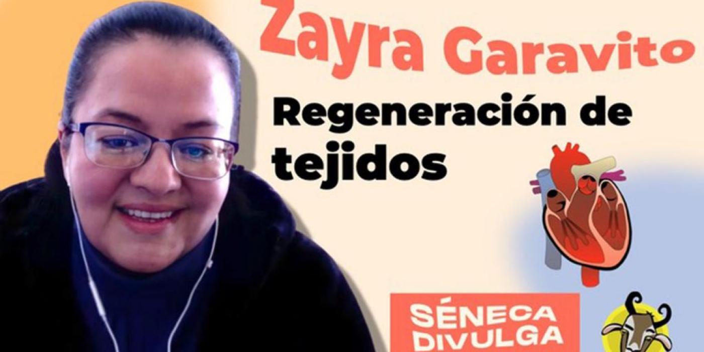 Texto alternativo imagen