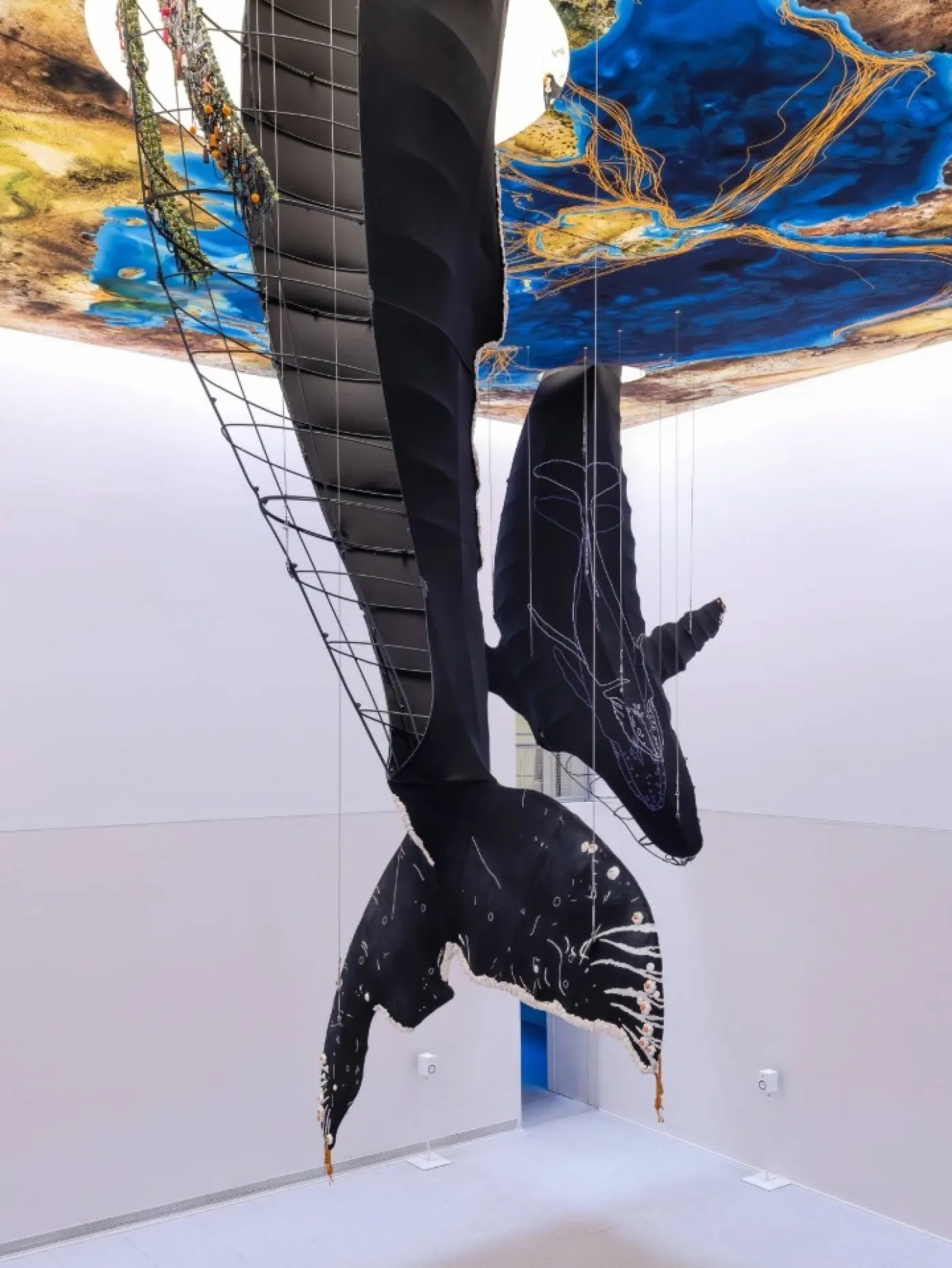 Saludo de las ballenas, Carolina Caycedo 3