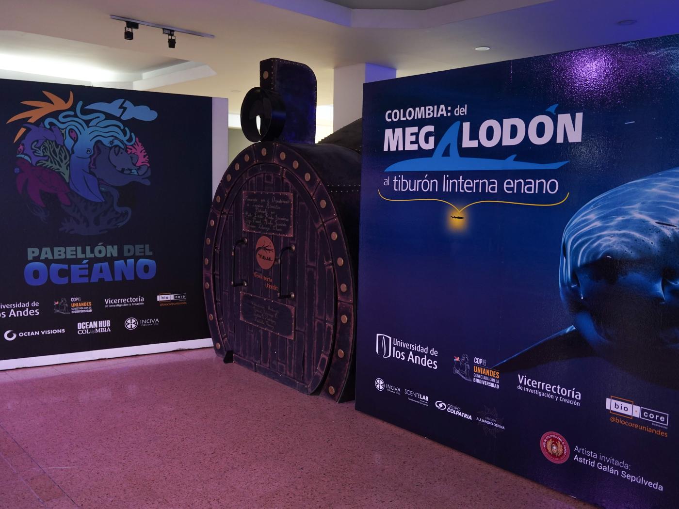 El submarino hace parte de una experiencia inversiva al universo de los tiburones