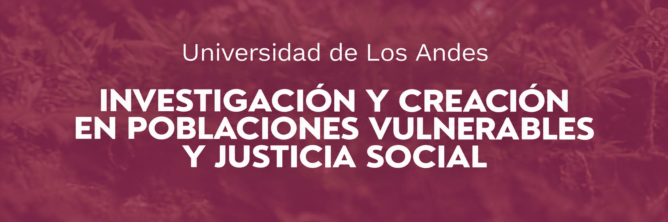portafolioJusticia