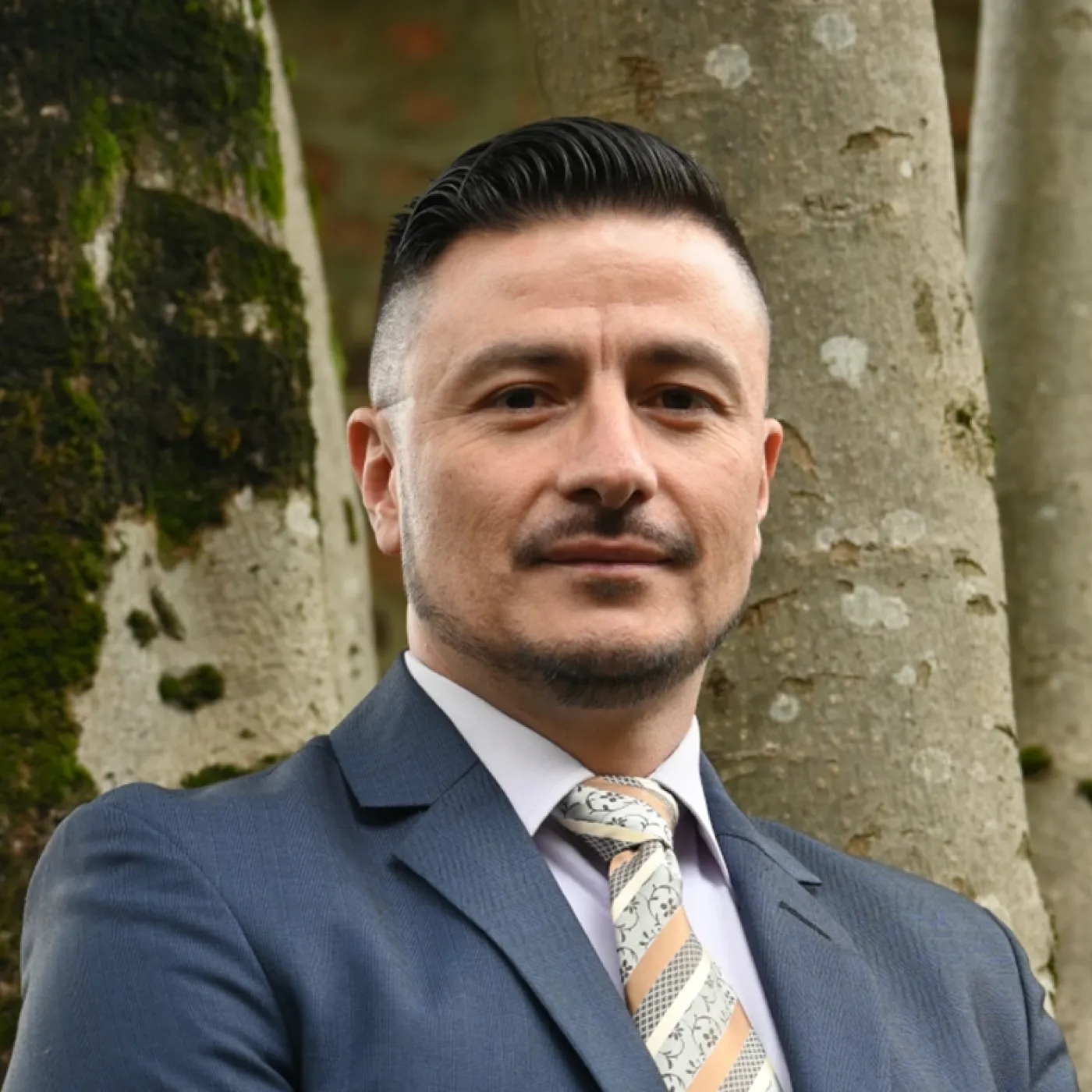 Carlos Julio  Vergara Vélez