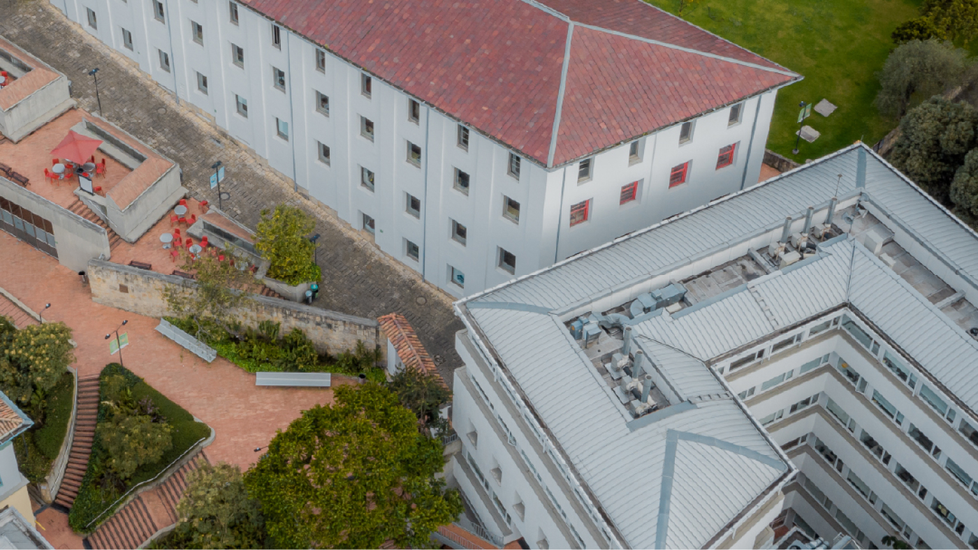 Imagen de referencia