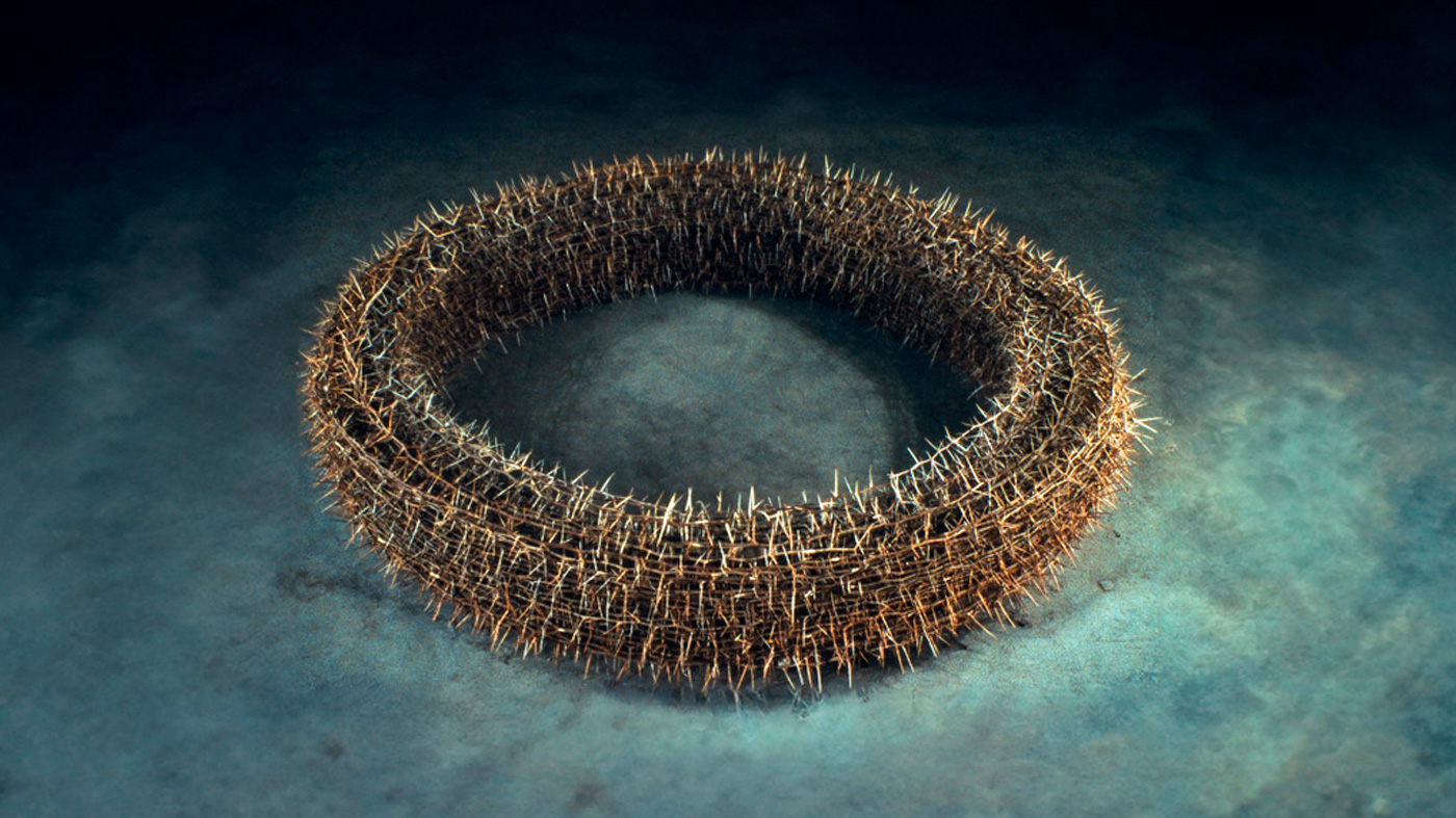 Corona de Juan Fernando Herran