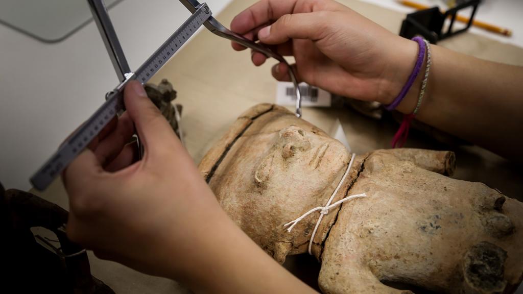 Imagen de manos midiendo pieza arqueológica con calibrador de ramas curvas.