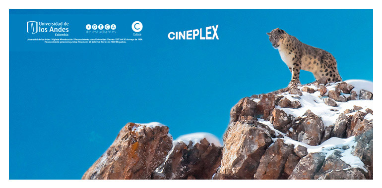 Cartel del Documental: El Leopardo de las Nieves