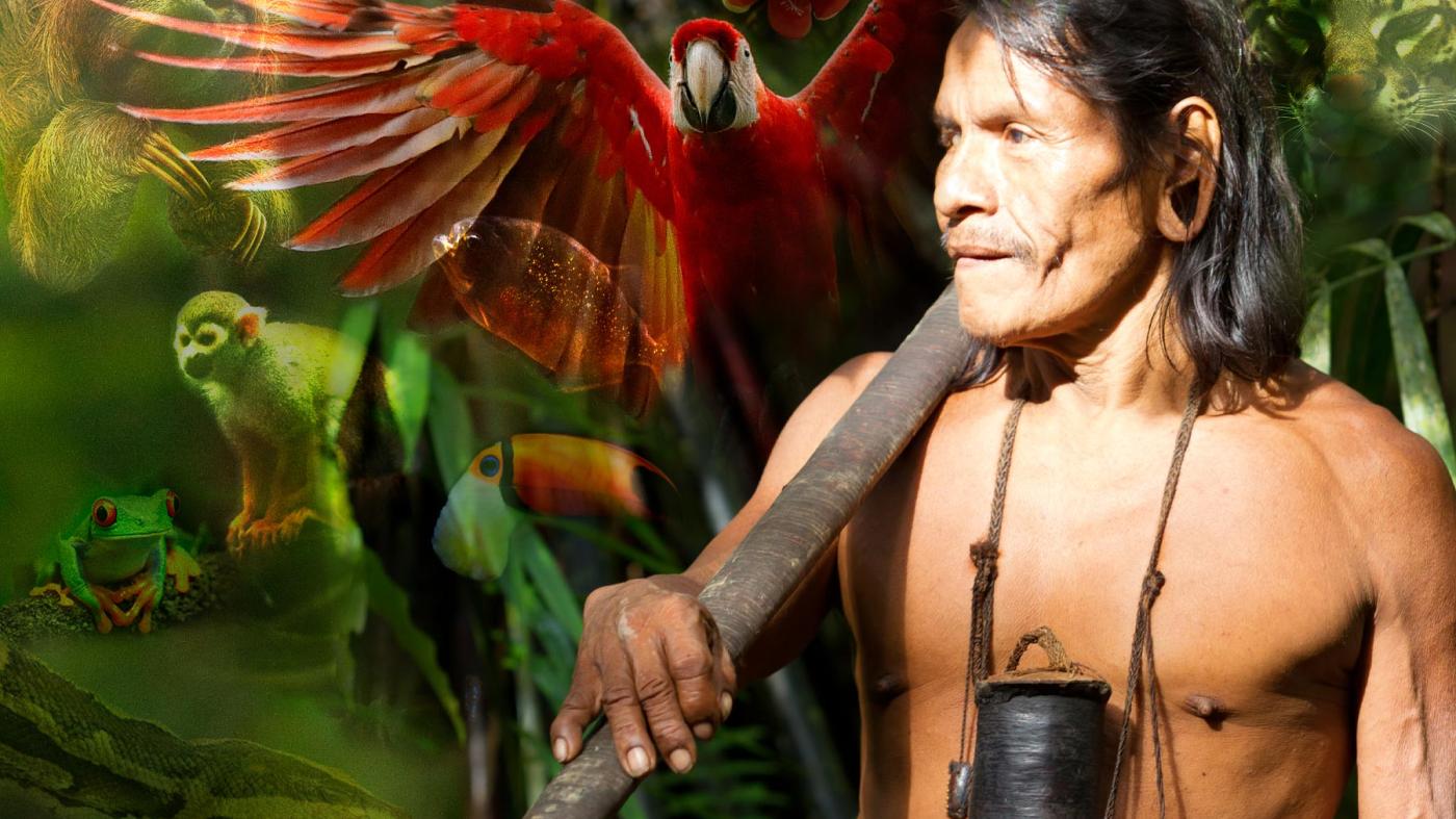 Amazonia
