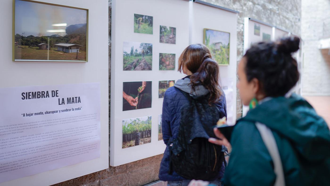 Exposiciones en el edificio Lleras Día Paíz
