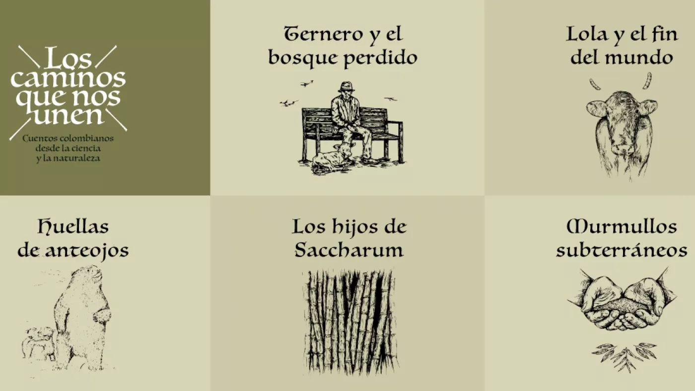 Ilustraciones de biodiversidad
