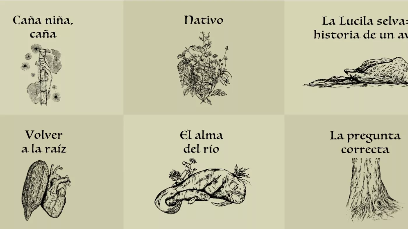Ilustraciones de biodiversidad
