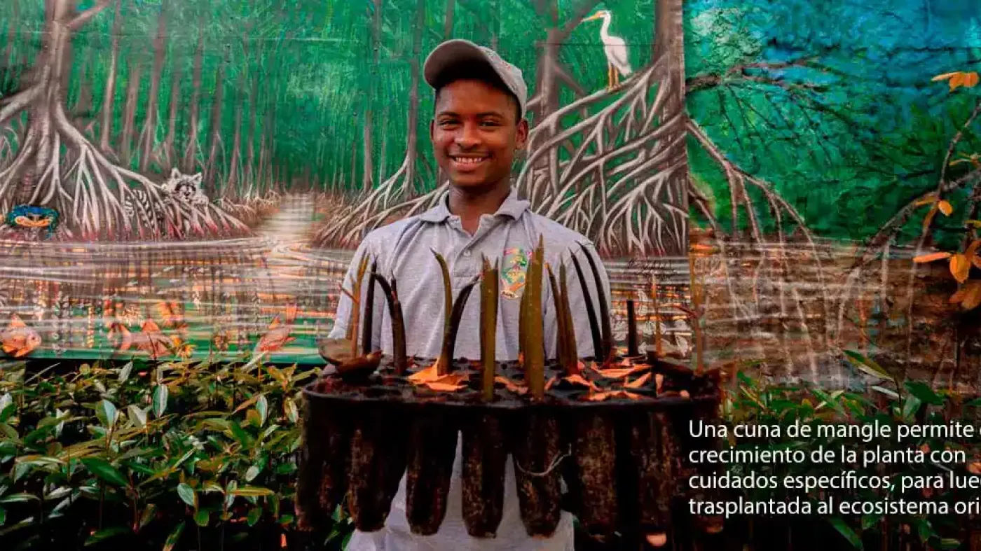 Hombre joven sostiene unas plantas.