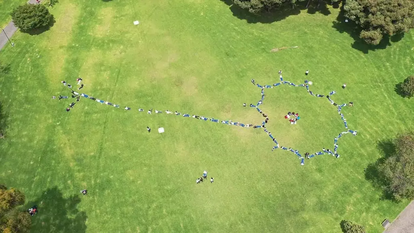 Foto de neurona hecha con personas