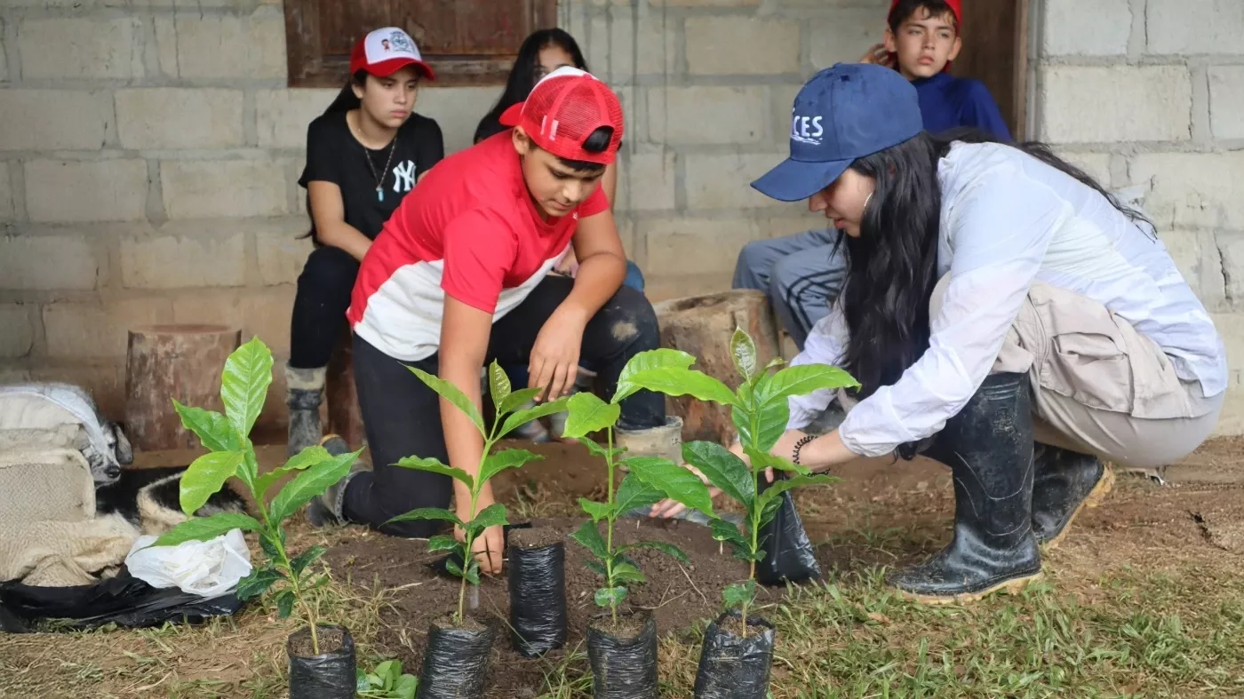 Trabajo con cafeteros Raices