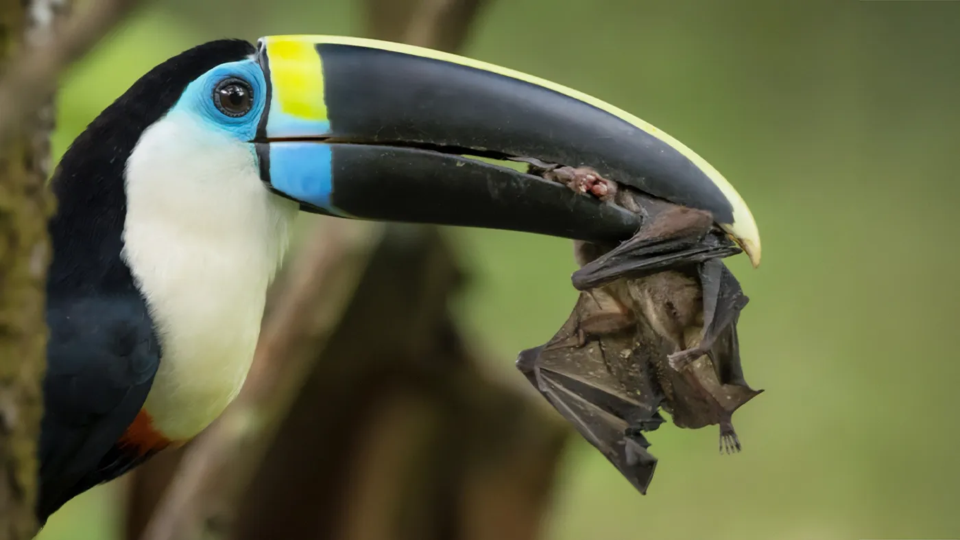 Foto: Sebastián Di Doménico
