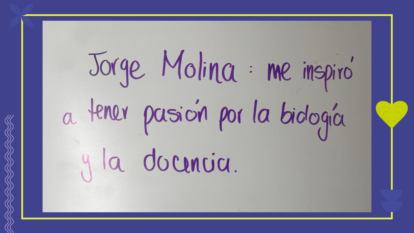 Mensajes profes 7