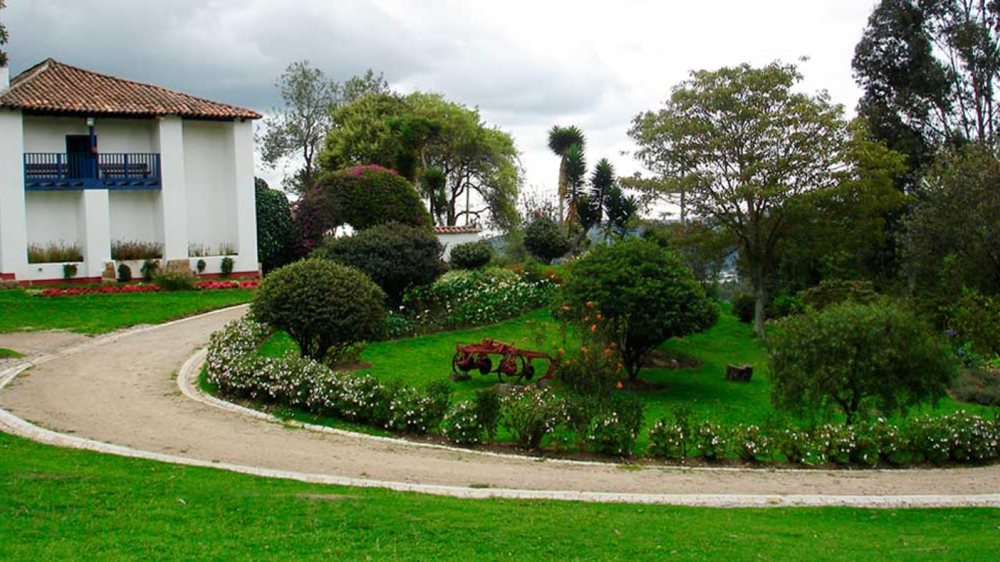 Jardínes