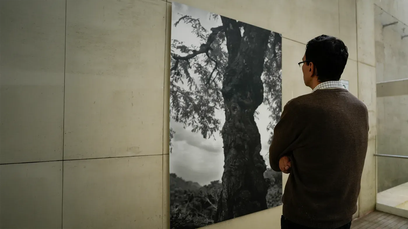 Exposición Escuchar de otra manera 1