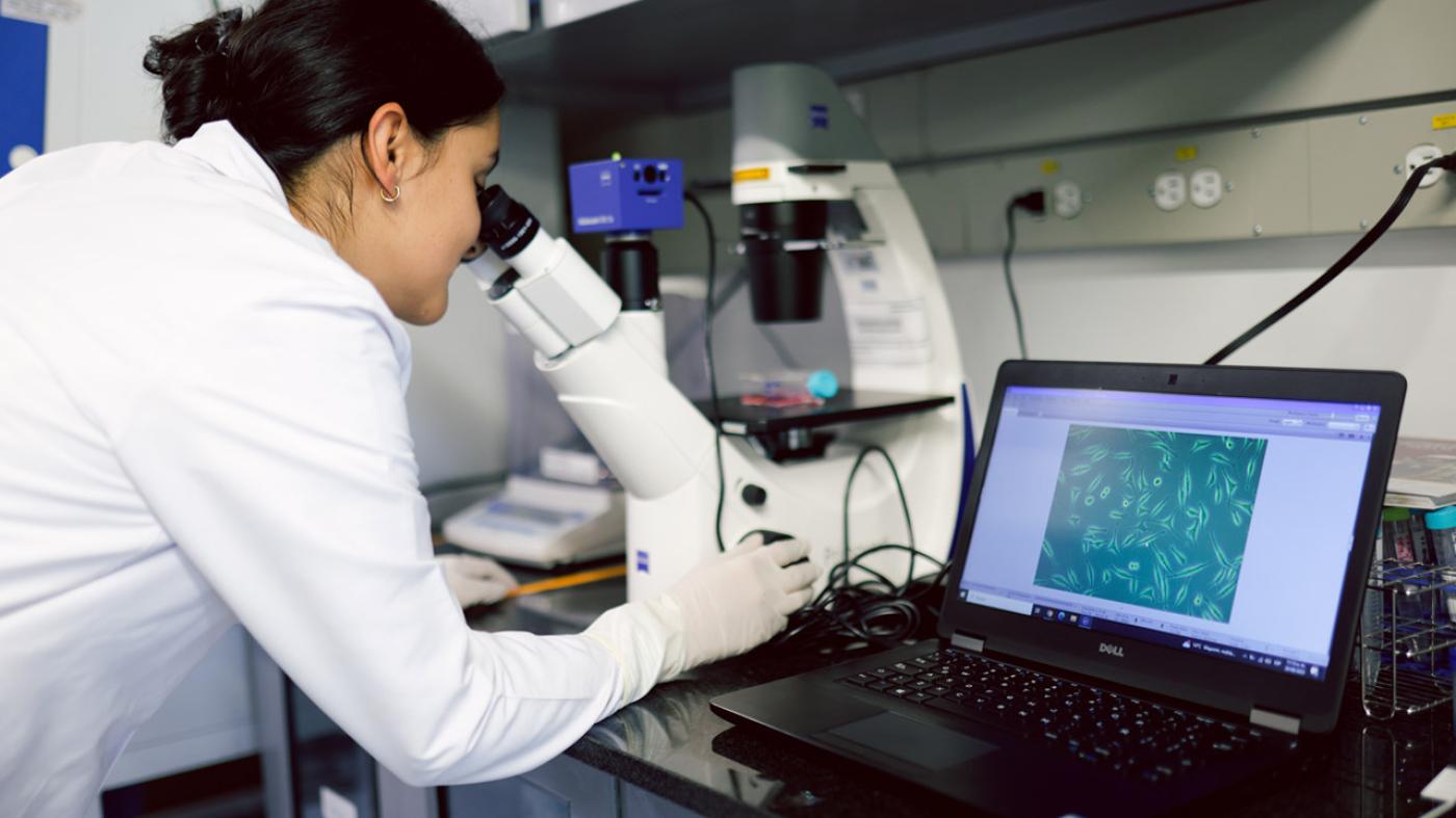 laboratorio citotoxicidad
