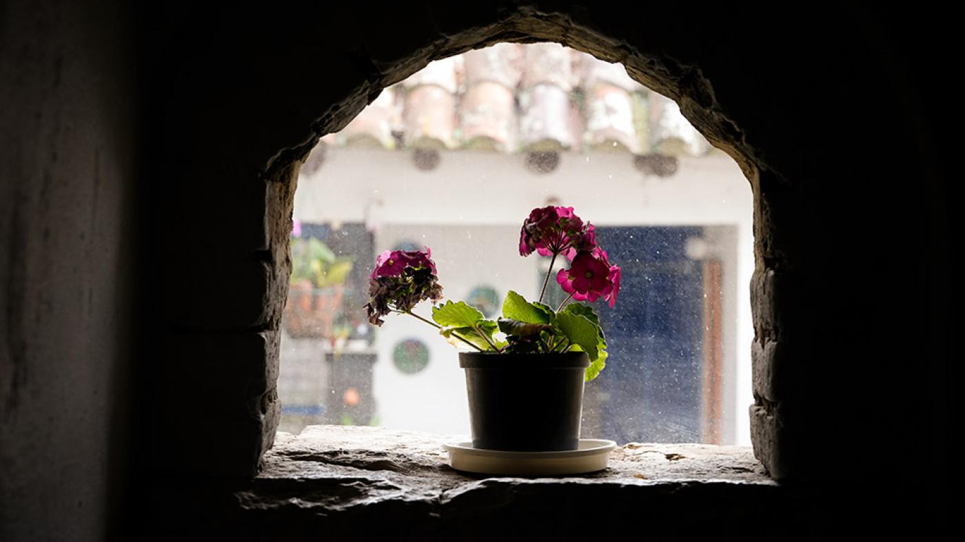 arqueología hacienda noviciado