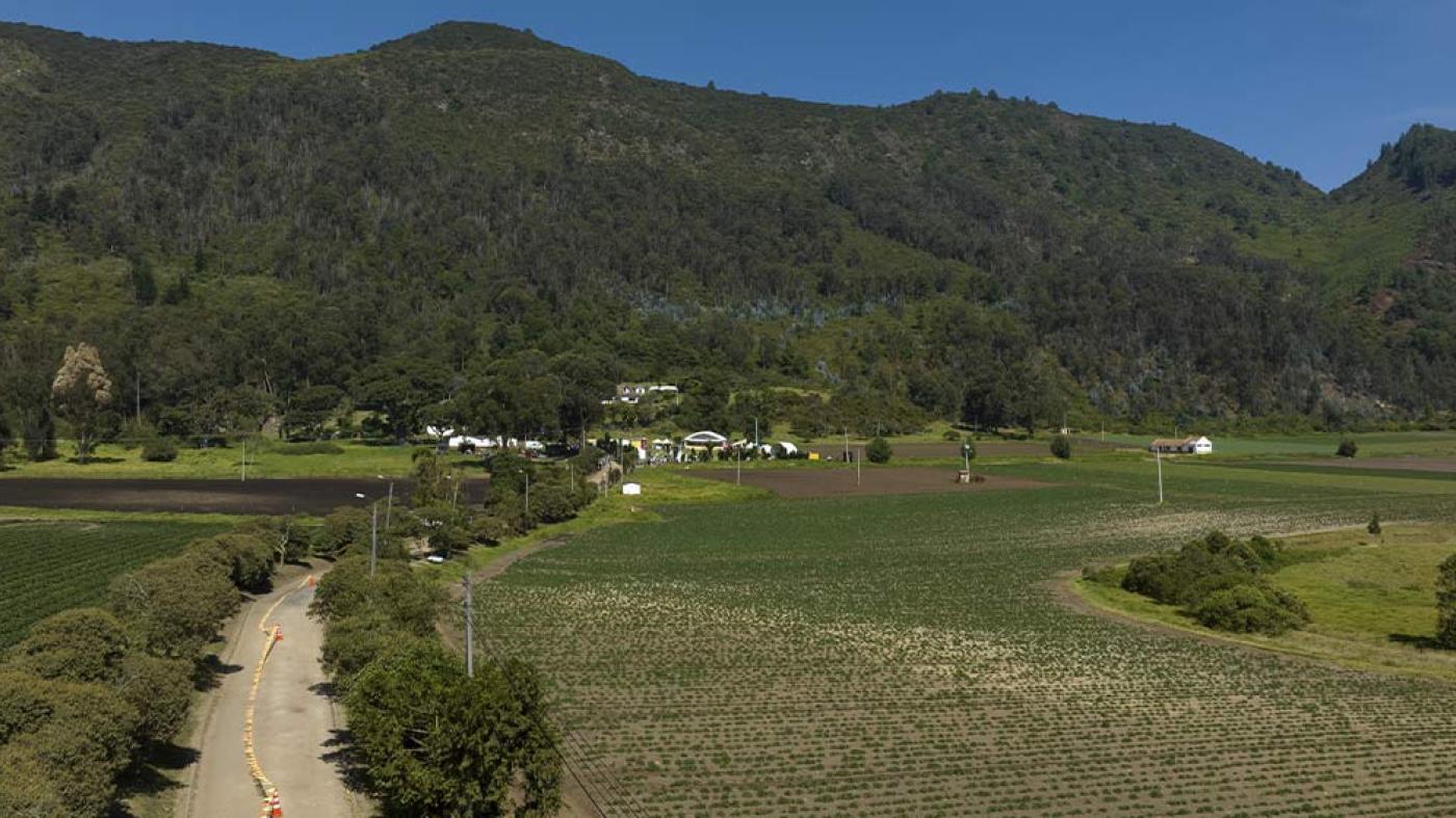 Foto Siembra ConCiencia